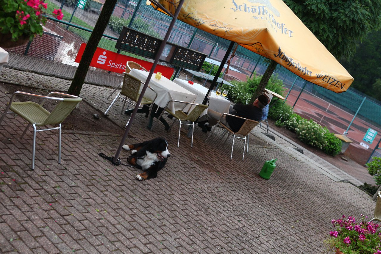 Bild 489 - Tag1